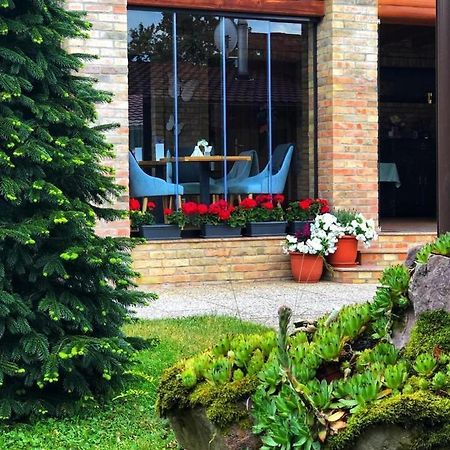 Villa Diva Budureasa Esterno foto