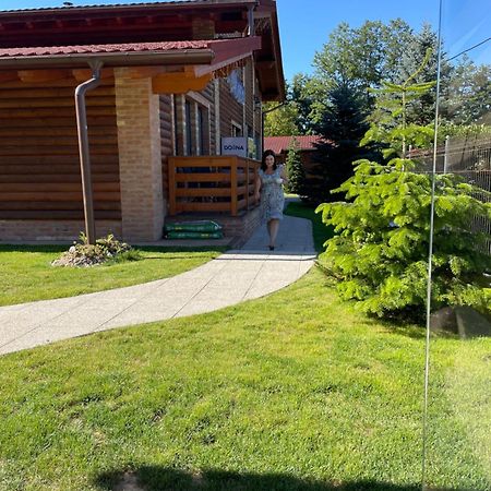 Villa Diva Budureasa Esterno foto