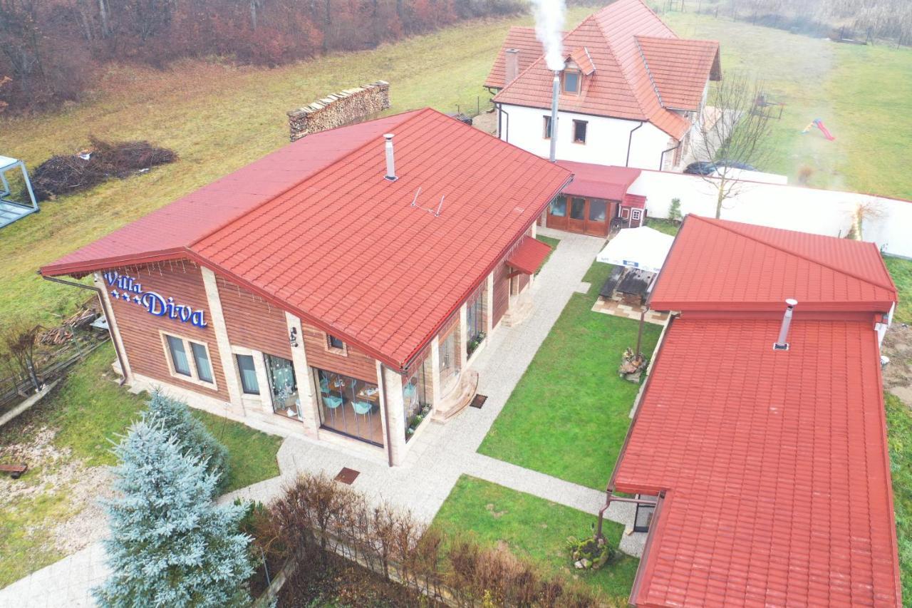 Villa Diva Budureasa Esterno foto