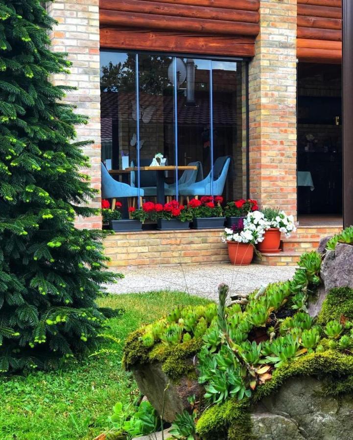 Villa Diva Budureasa Esterno foto