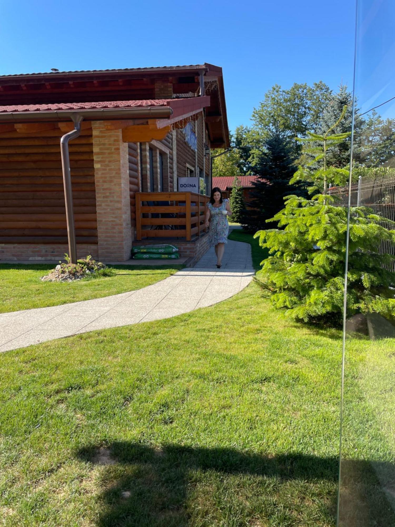Villa Diva Budureasa Esterno foto