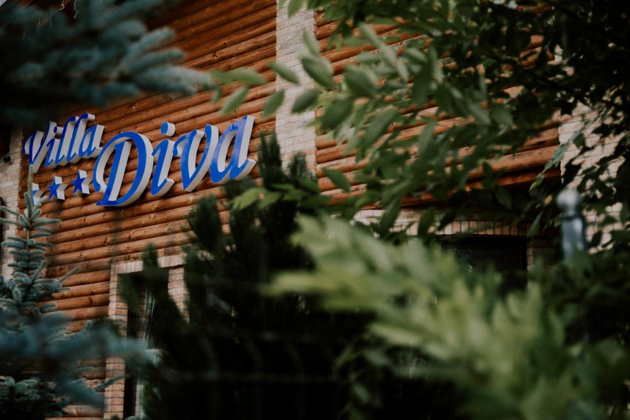 Villa Diva Budureasa Esterno foto