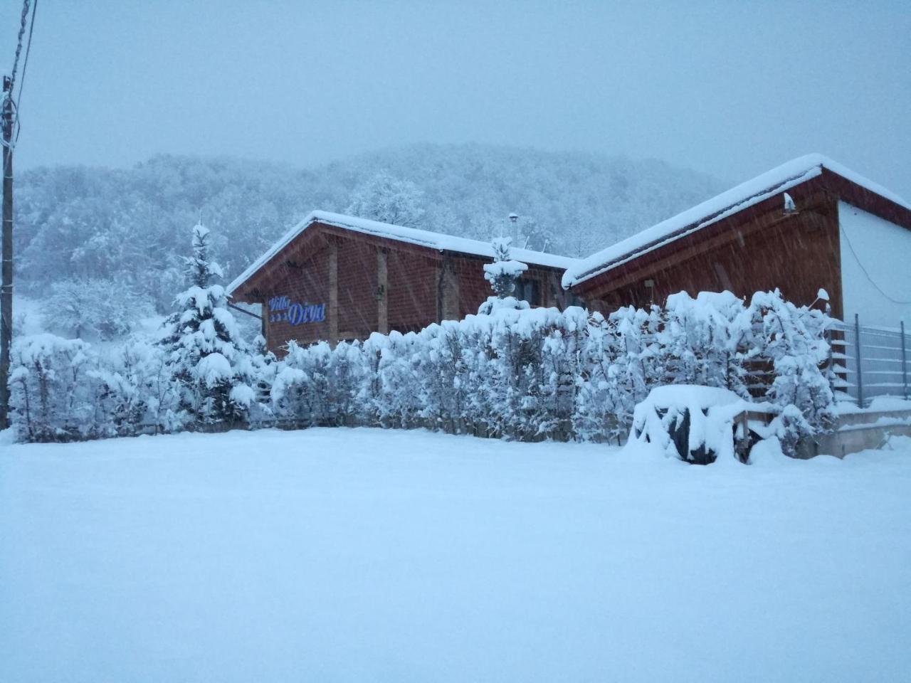 Villa Diva Budureasa Esterno foto